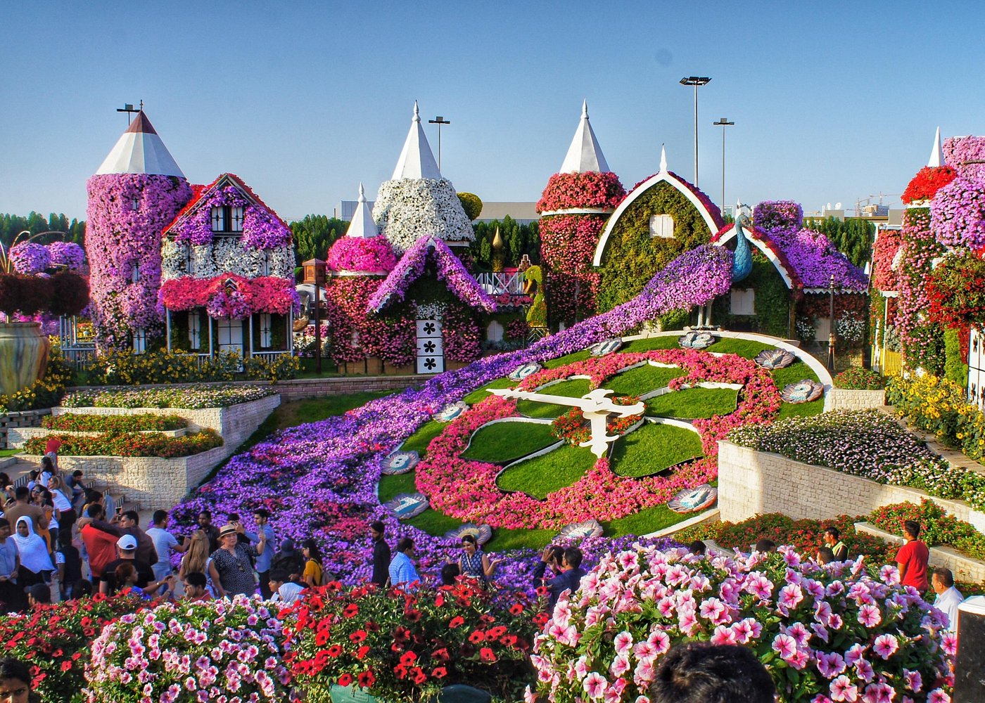 Open seasonally, this floral wonderland is a burst of color in the desert with over 150 million blooming flowers. Dubai Miracle Garden Tours