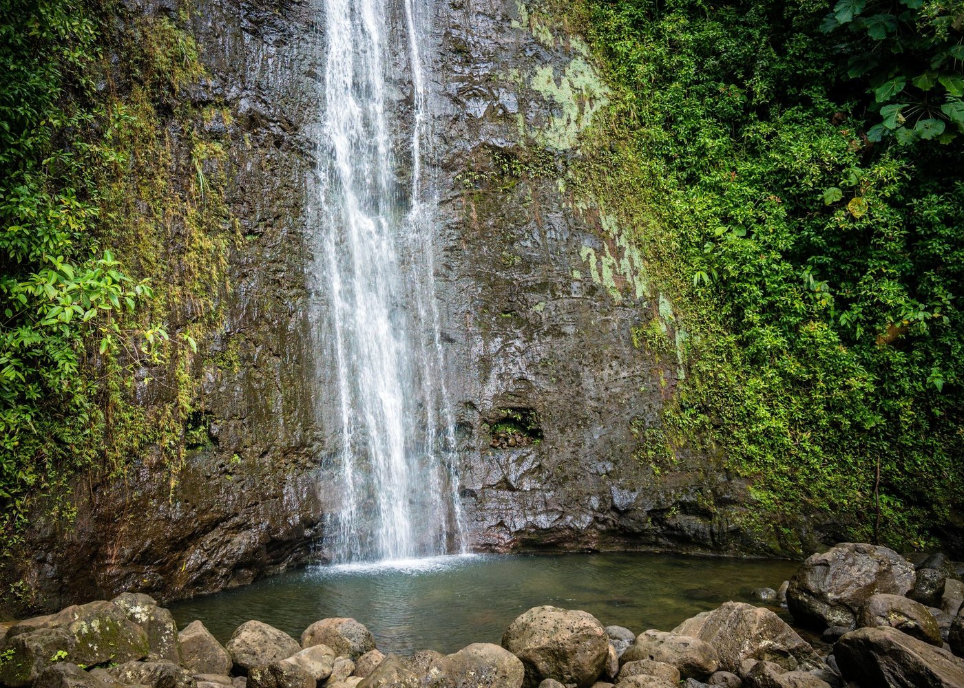 Manoa Valley & Rainforest Trails