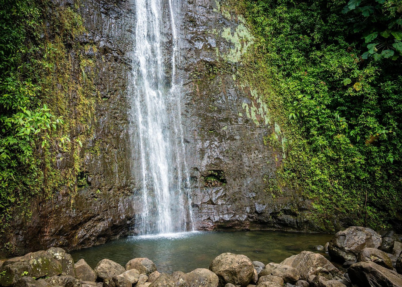 Unforgettable Honolulu Tours – Island Adventures Await Manoa Valley & Rainforest Trails
