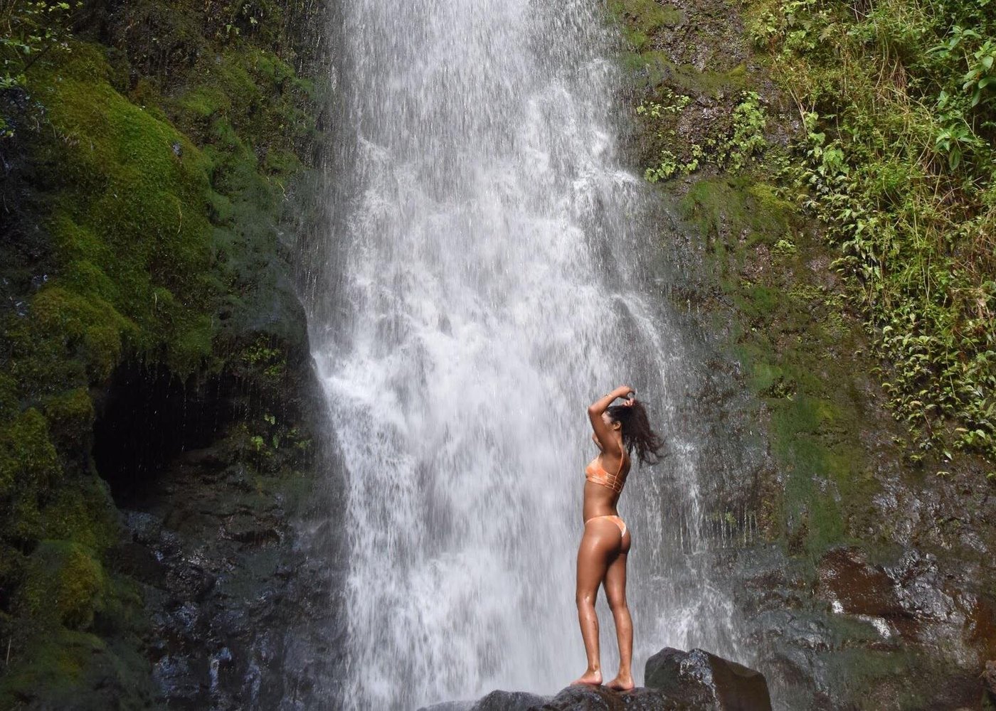 Manoa Falls Hiking Tour – A guided rainforest trek to a stunning waterfall, perfect for nature lovers and photographers.