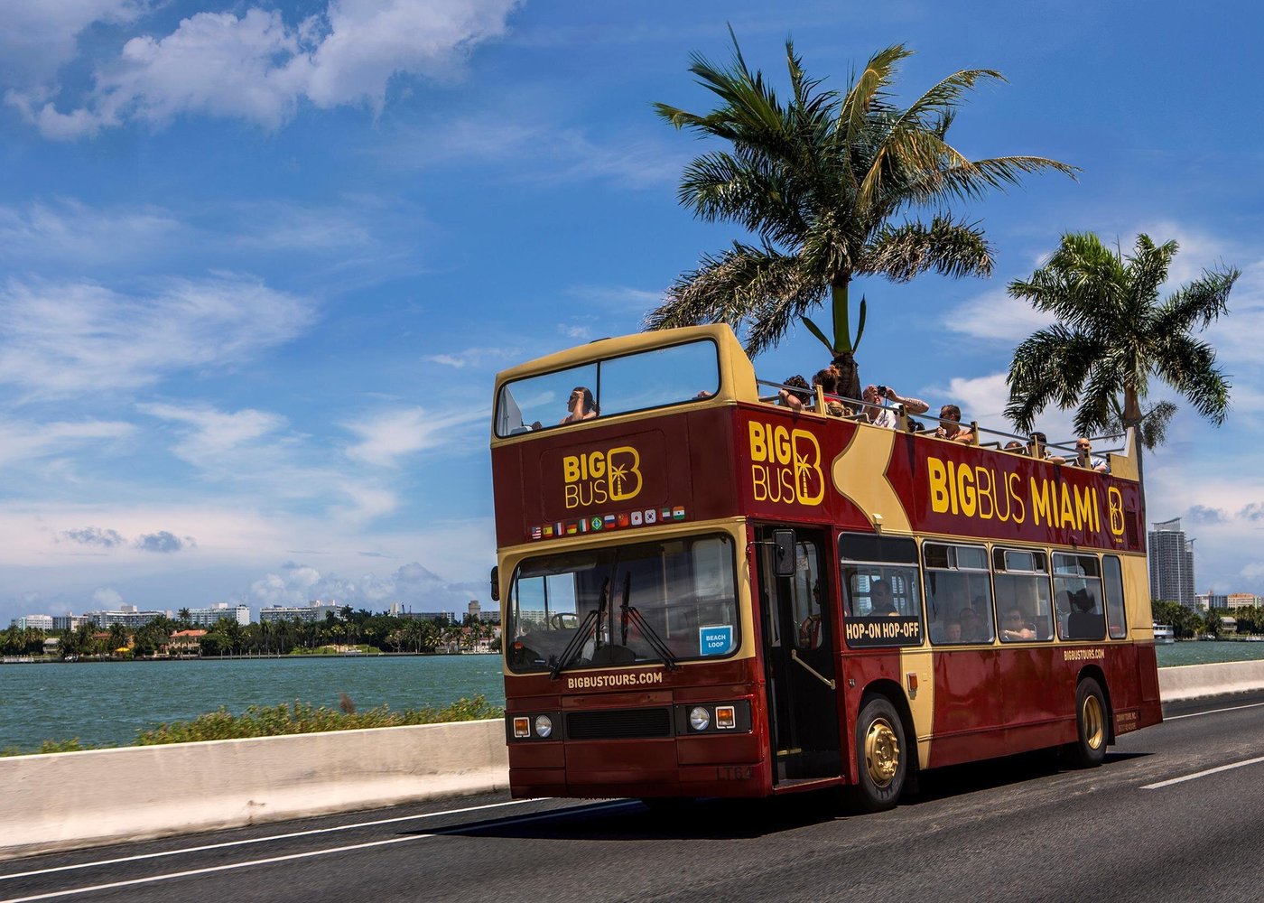 Big Bus Tours in Miami traveling through South Beach with views of Art Deco buildings, palm-lined streets, and the vibrant Ocean Drive