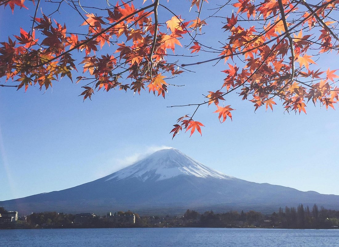 Mejores Tours en Tokio caption
