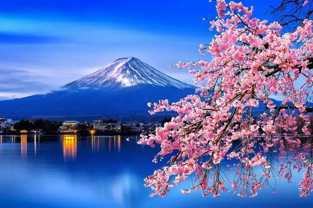 Japan Tours: Temples, Cherry Blossoms, Cities & Sacred Peaks Top-Rated Japan Tours & Experiences