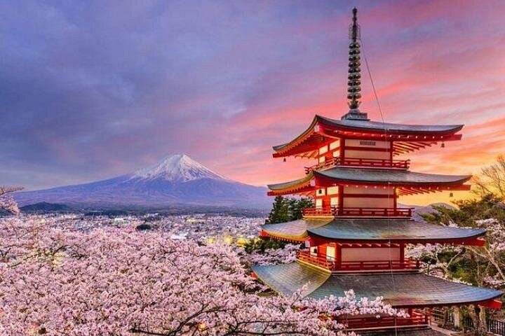 Mejores Tours en Tokio caption