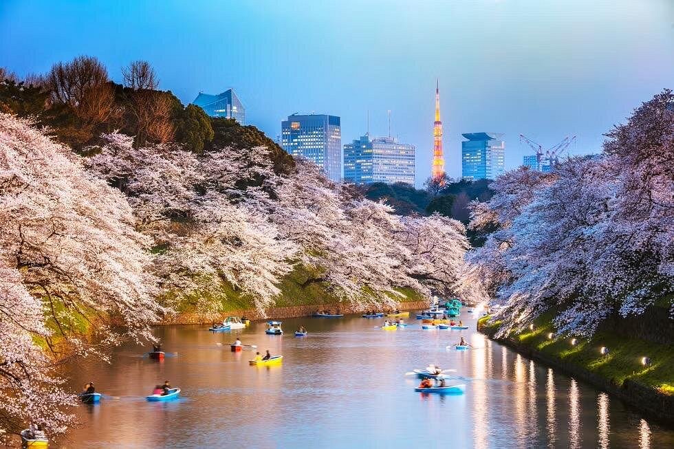 Japan Travel Guide 5 Outdoor & Island Adventures in Japan