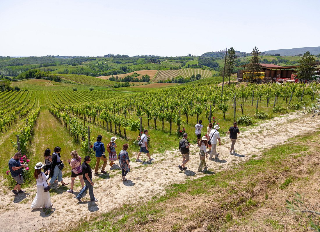 Mejores Tours en Florencia caption