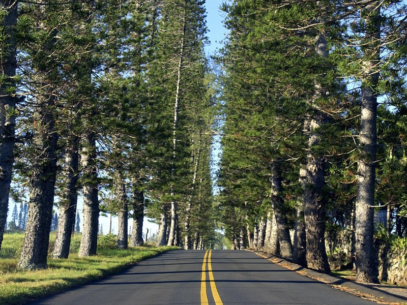 Camino a Hana desde Maui