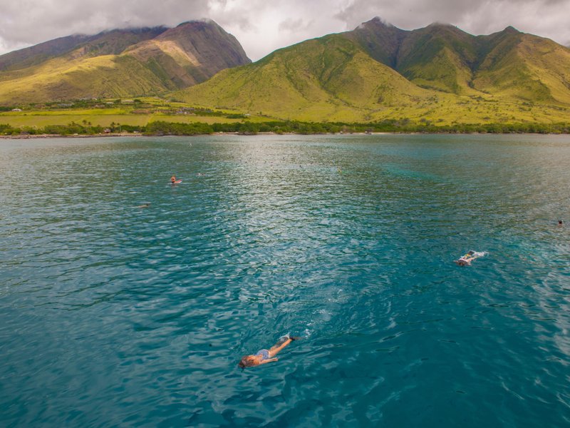 Los buceadores buscan peces coloridos y tortugas marinas en el agua alrededor de Molokini.