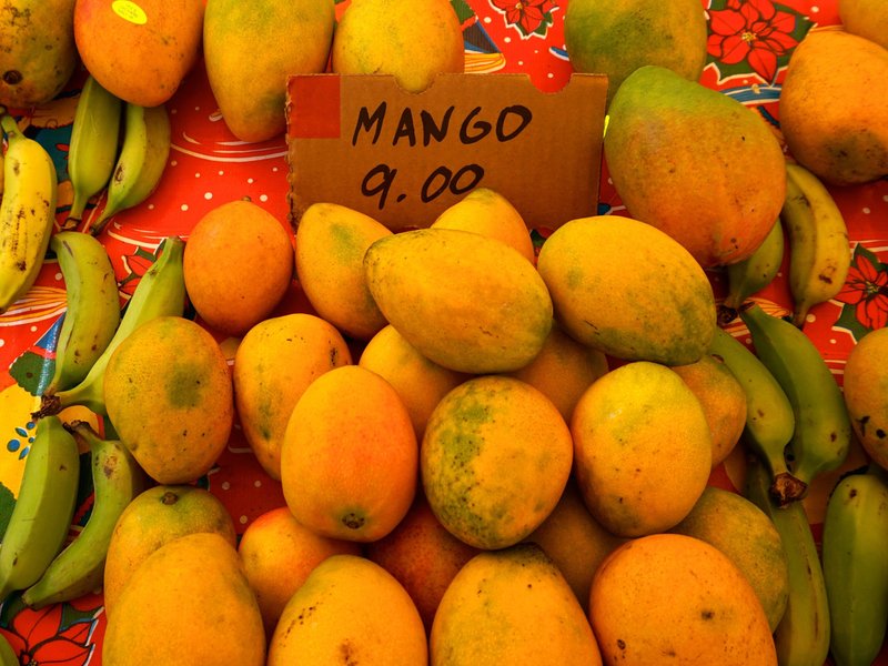 Disfrutar de las delicias tropicales