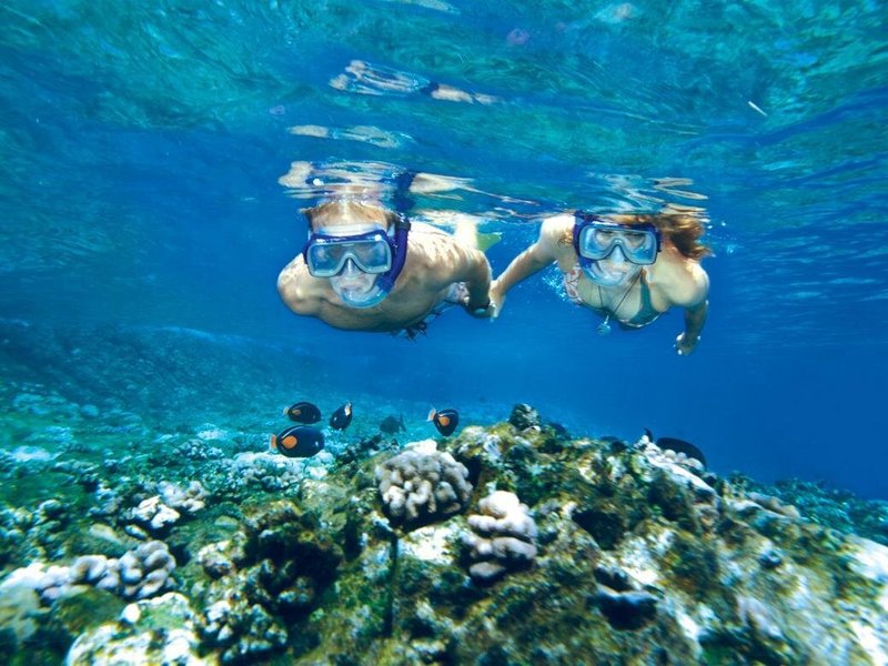 Snorkel en el cráter Molokini