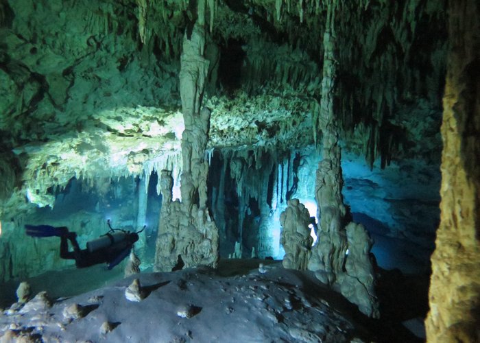 The Bat Cave