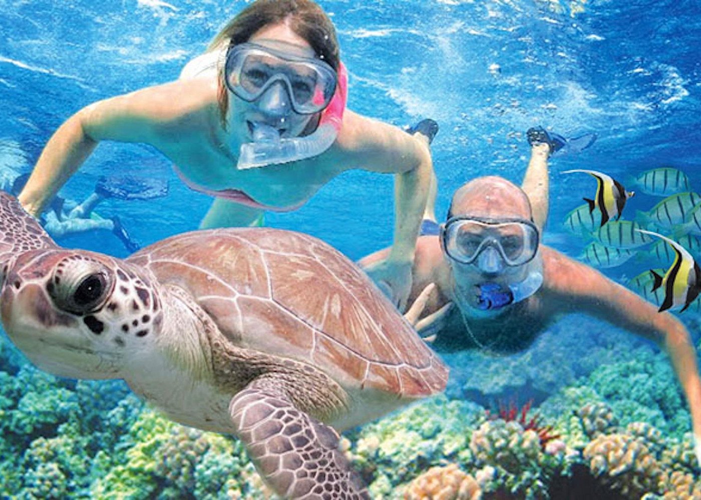 Kauai Travel Guide 1 Kauai Travel Guide