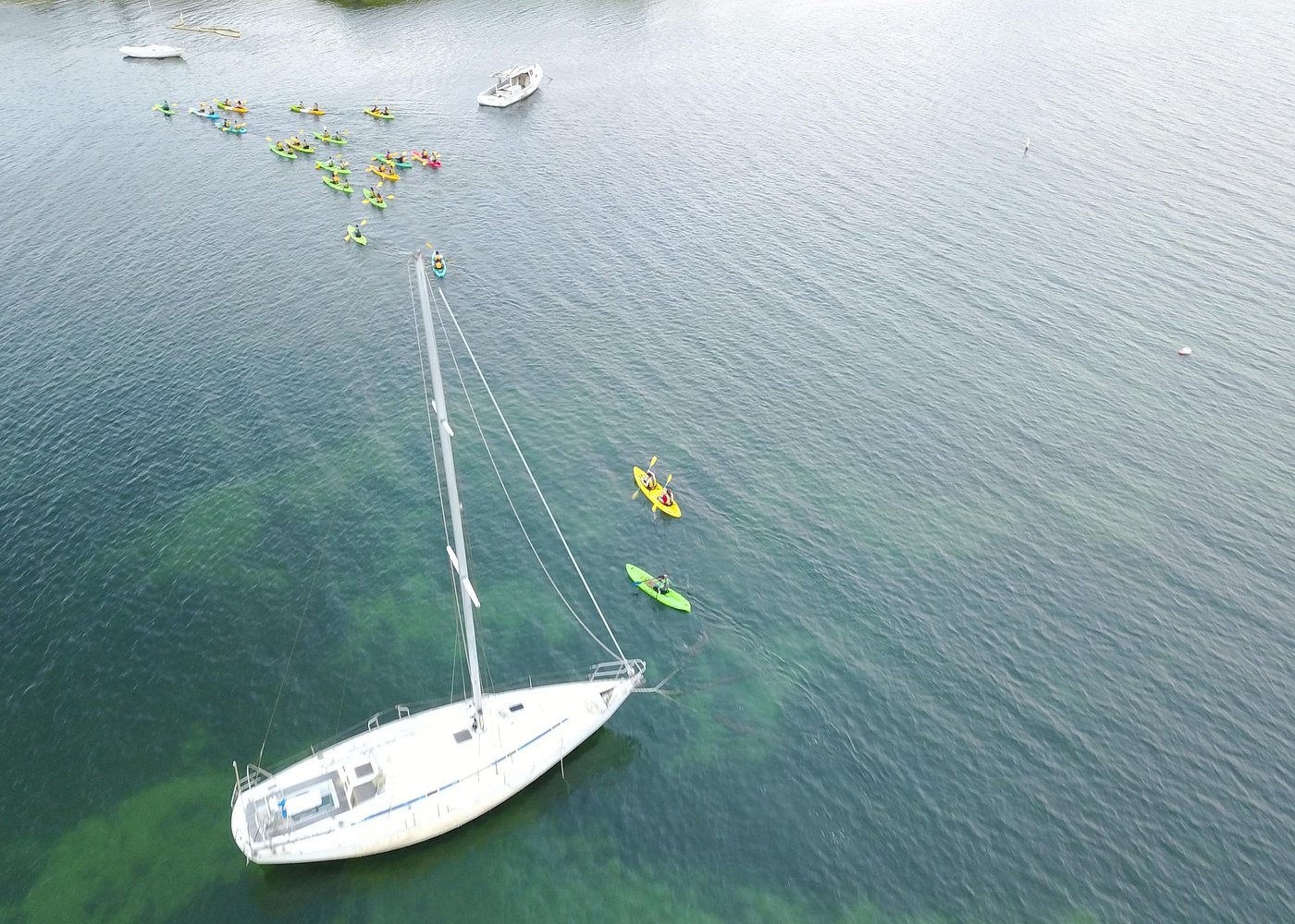 Puerto Rico Bio Bay Kayak Adventure Tour