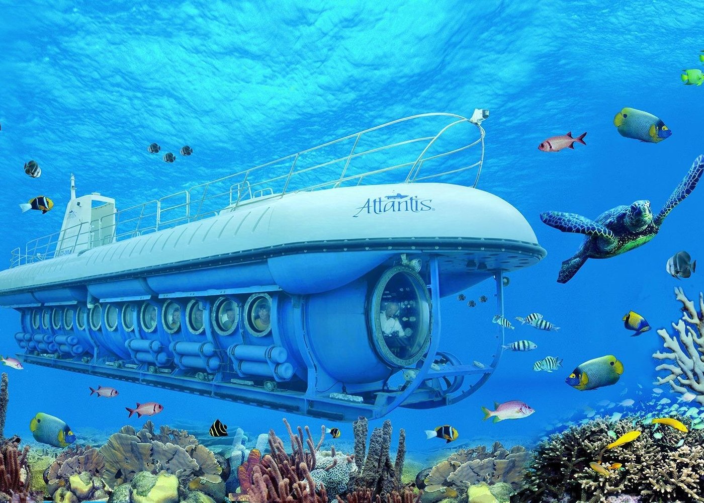 Submarine tours — Explore Aruba tours marine life without getting wet.