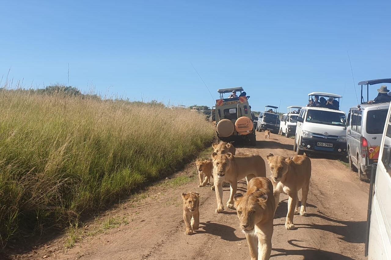 Kenya Tours & Destination Highlights