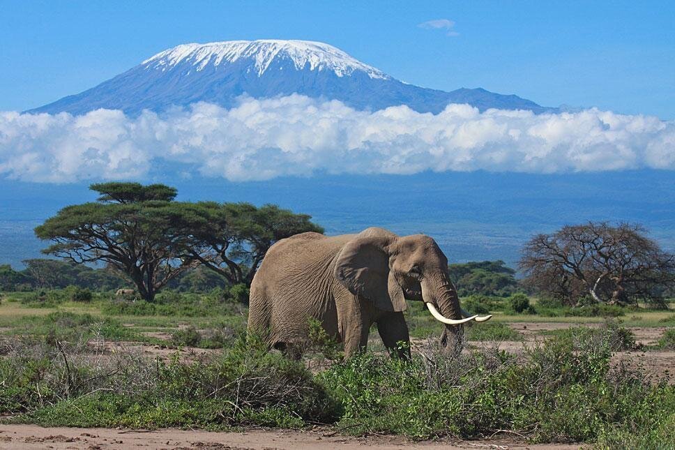 Introduction to Kenya Tours