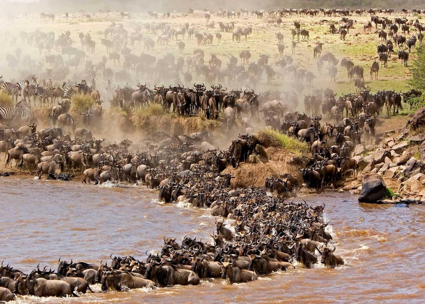 Best Time for Kenya Tours