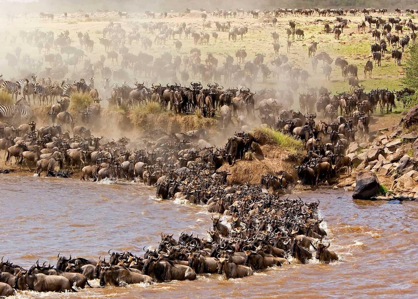 Kenya Tours – Wild Safaris, Scenic Escapes & Culture Best Time for Kenya Tours