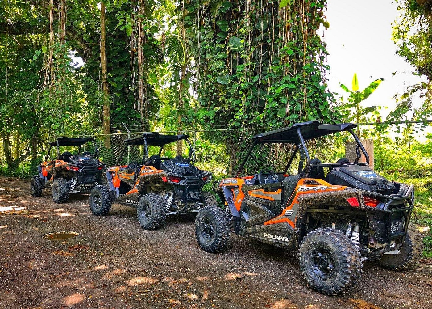 Three orange ATVs parked along a dirt road with green foliage in the background