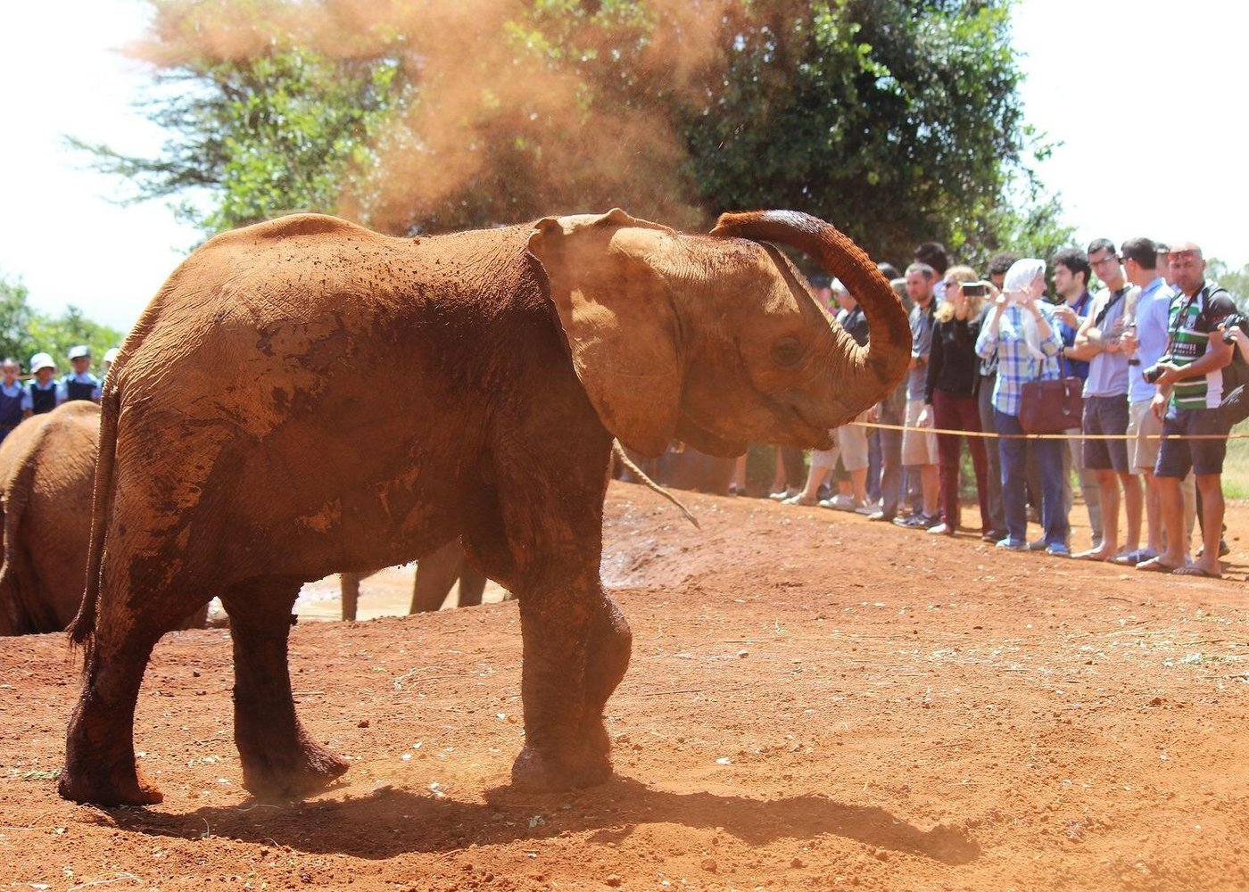 Smart Tour Tips: Kenya Tour Recap