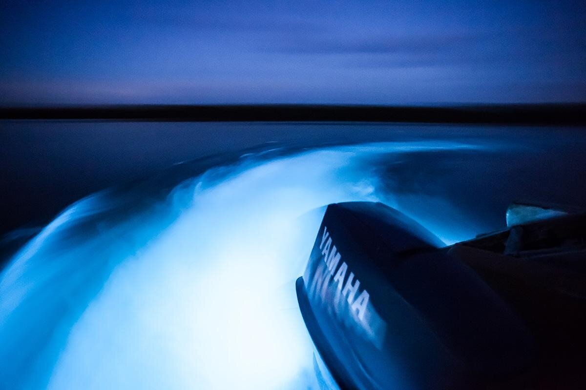 Luminous Lagoon, Jamaica
Near Montego Bay, this lagoon glows brightly during boat rides. Bioluminescent Bay Travel Guide