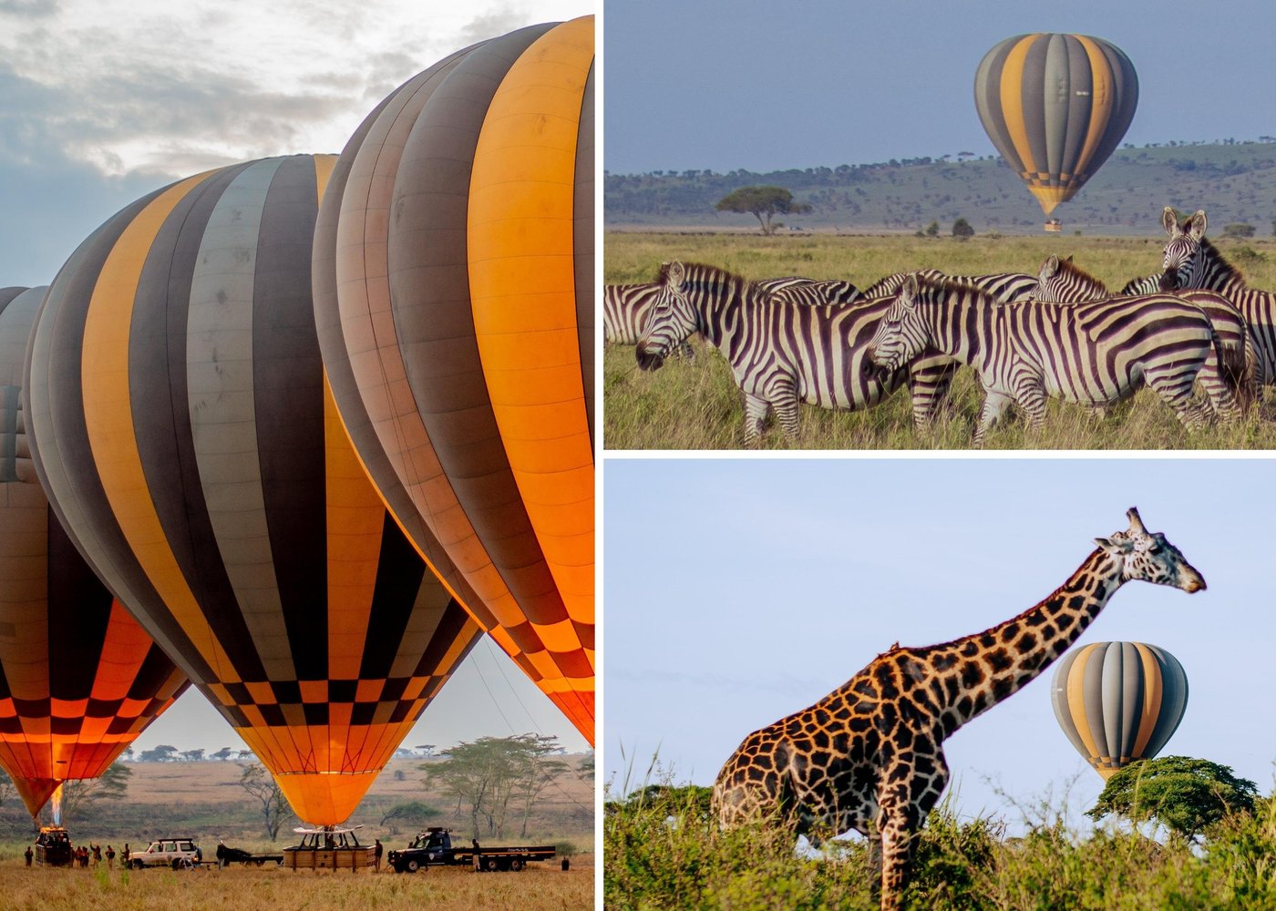 Balloon Safari in Tanzania