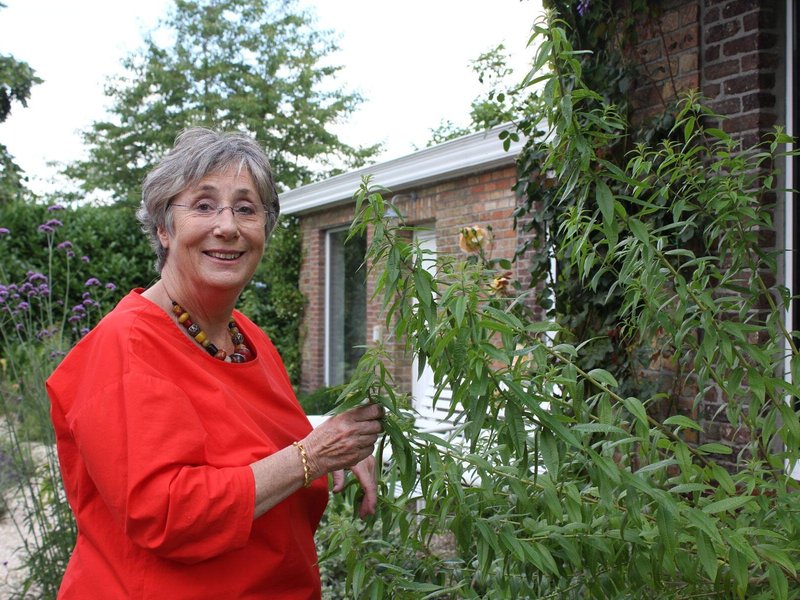 Join Ghent host Suzy in her home