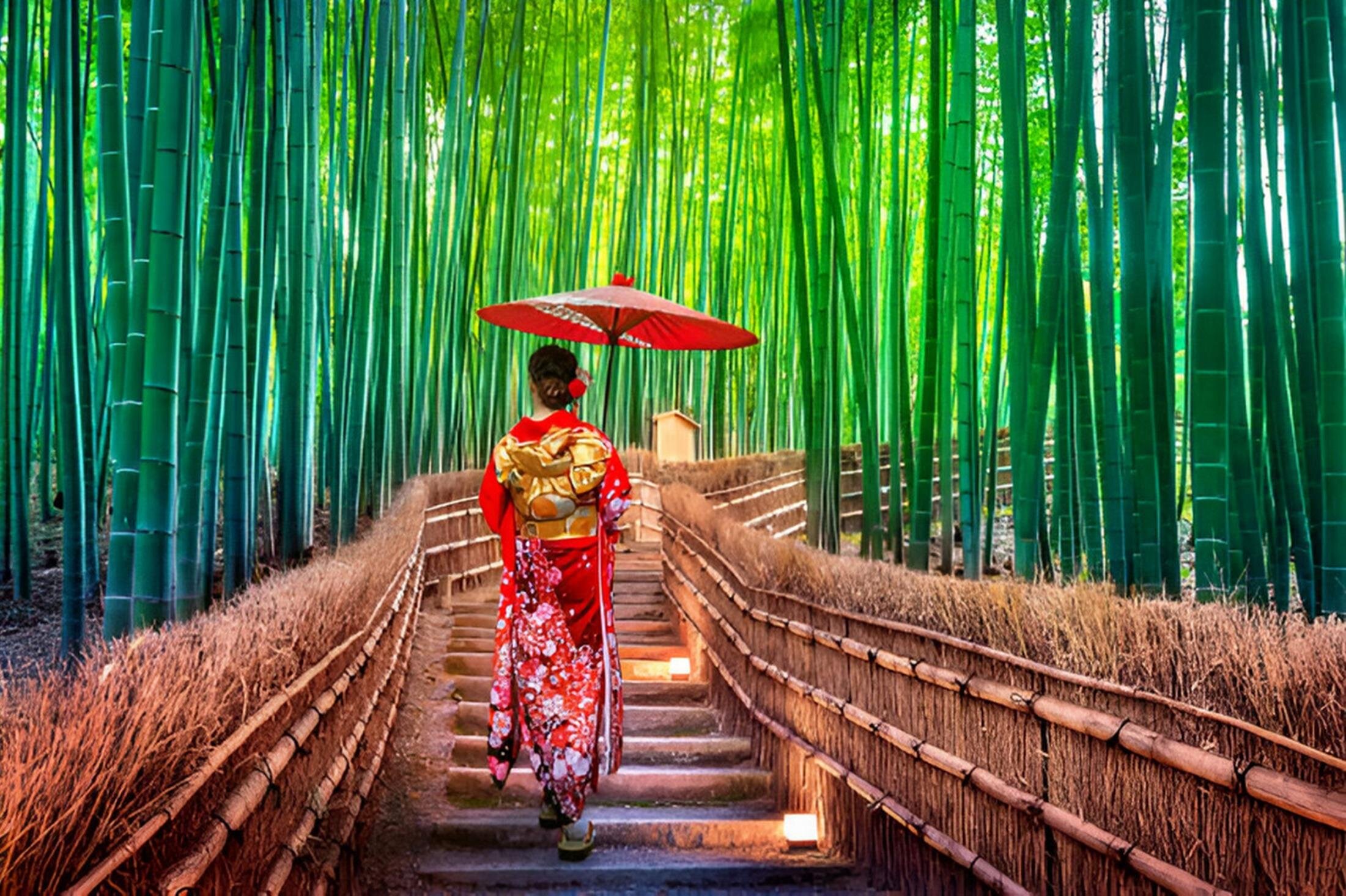 THE TOP 10 Kansai Multi-day Tours (Prices from $11)