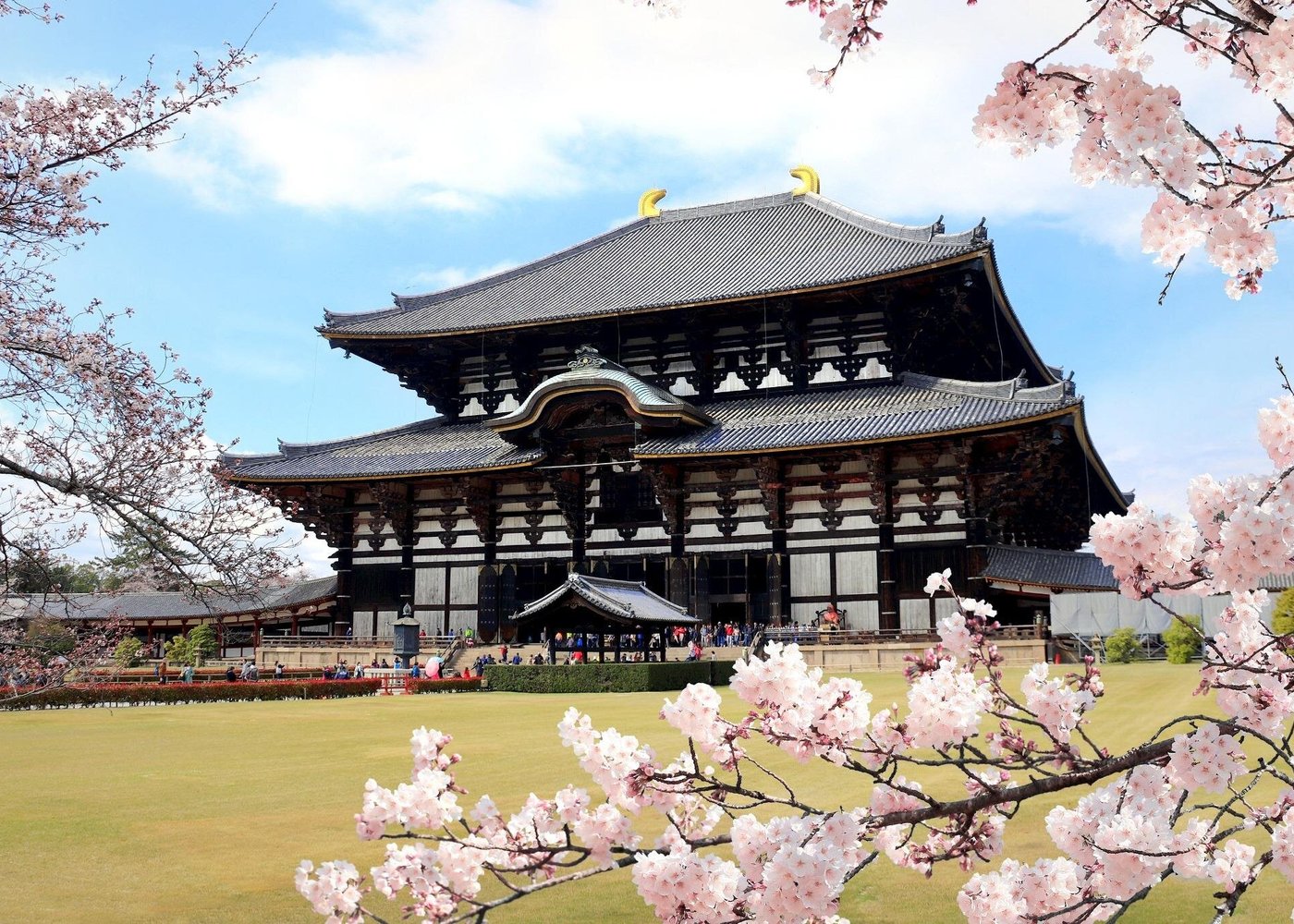 Woman in traditional Japanese temple in Kyoto