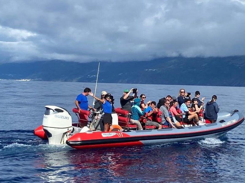 One of our boats outside Pico south coast