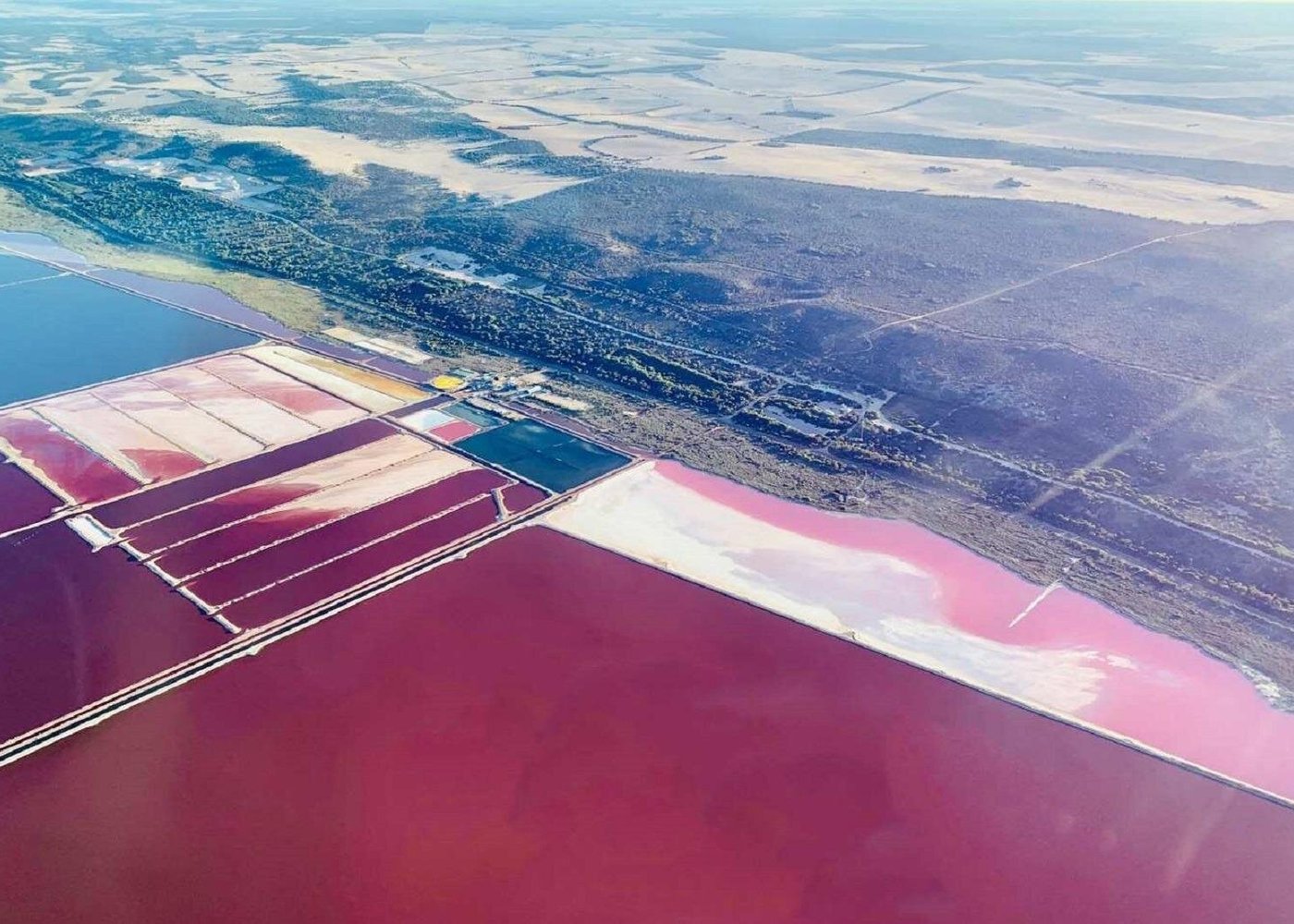 Western Australia’s Pink Lake, or the “Hutt Lagoon,”