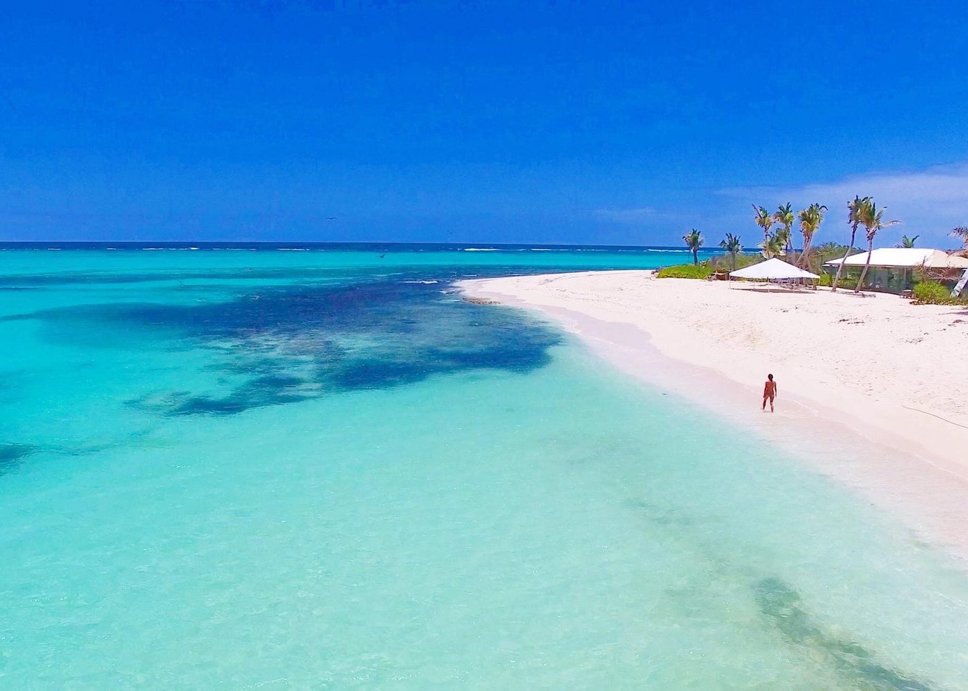 anguilla tours Boomerang’s Best of Anguilla: Swim with Turtles Adventure

