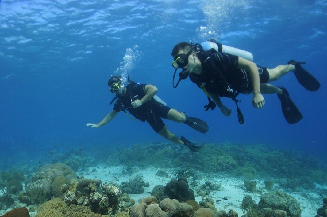 THE TOP 10 Curacao Scuba Diving (Prices from $40)