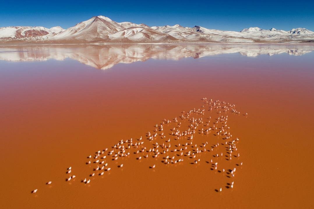 Bolivia Travel Guide 1 Bolivia Travel Guide