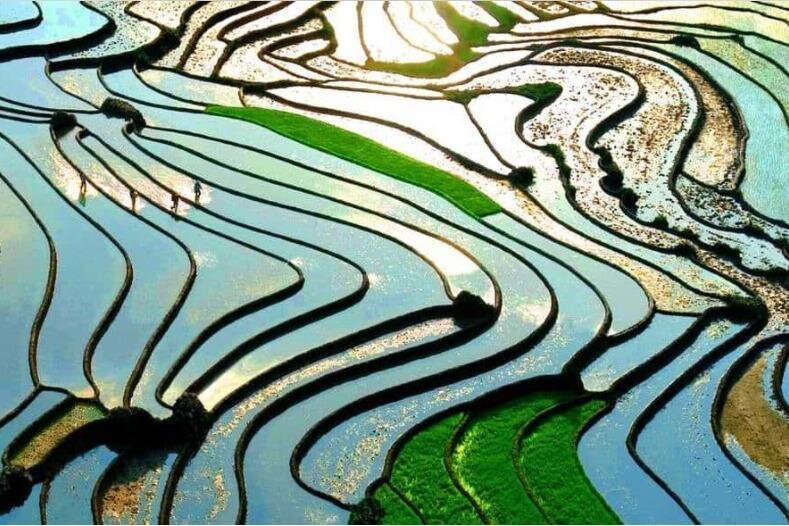 Nestled in the mountains, Sapa offers terraced rice fields, ethnic villages, and hiking opportunities through lush valleys. Sapa Tours and Tickets