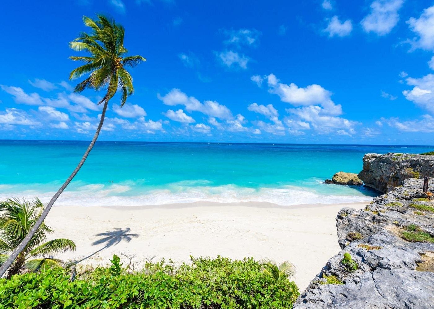 Things to do in barbados