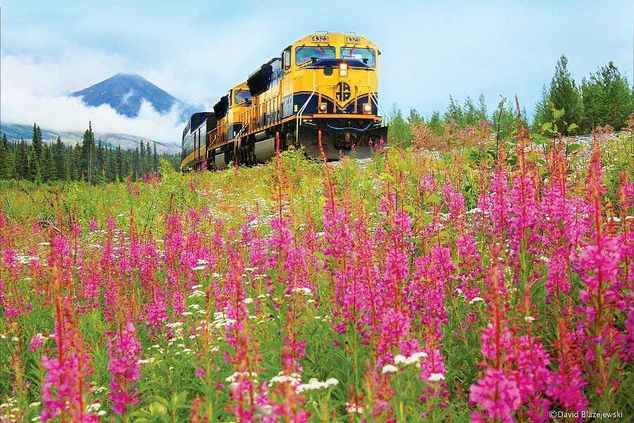 Experiencias en Anchorage caption