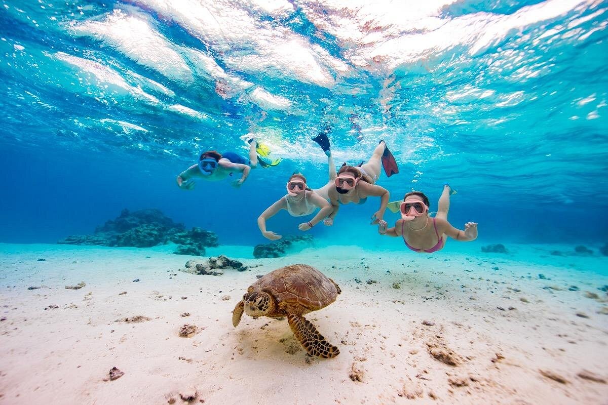 Blue Paradises | Best Places to Visit & What to See 26 cook islands, Lying roughly halfway between New Zealand and Hawaii in the South Pacific Ocean