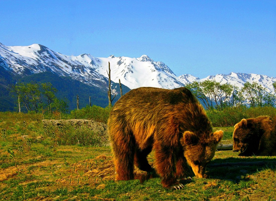 Experiencias en Anchorage caption