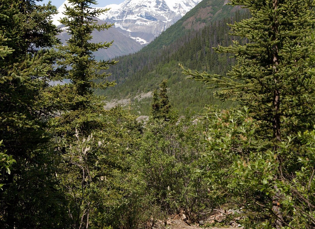 Experiencias en Anchorage caption