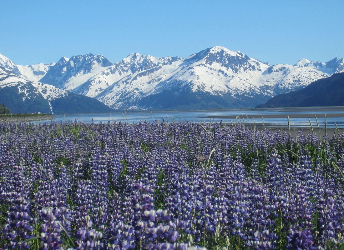 Experiencias en Anchorage caption