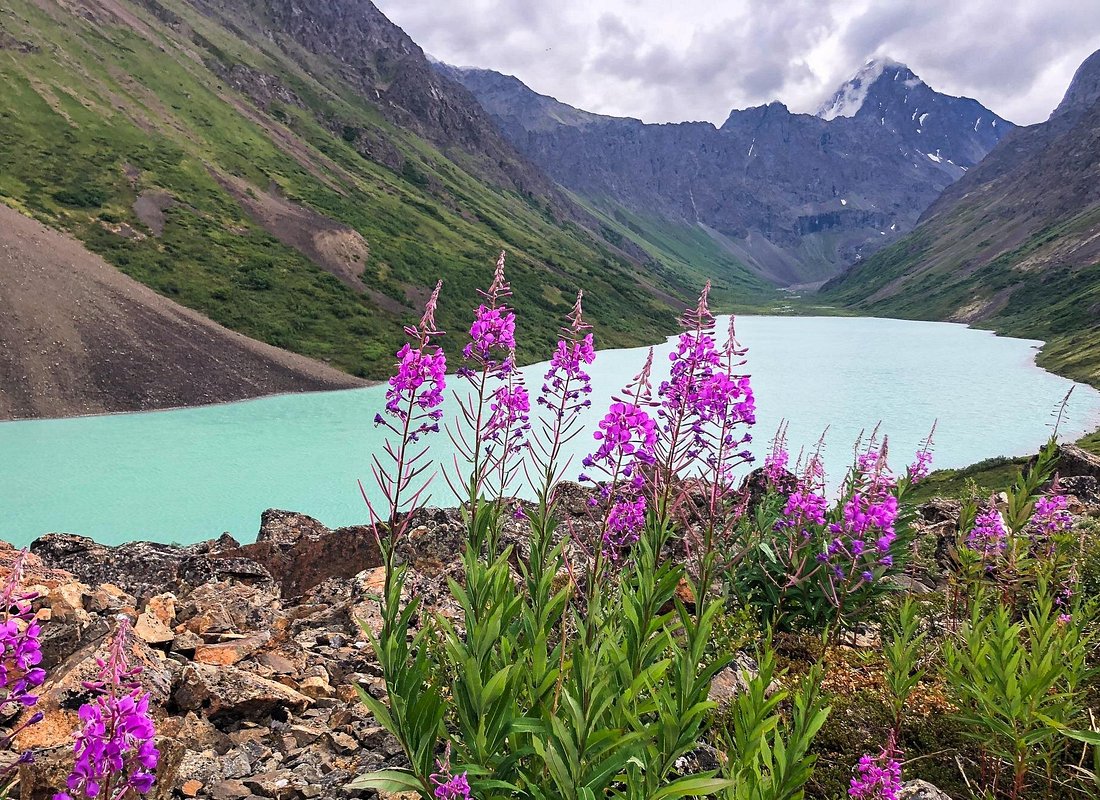 Experiencias en Anchorage caption