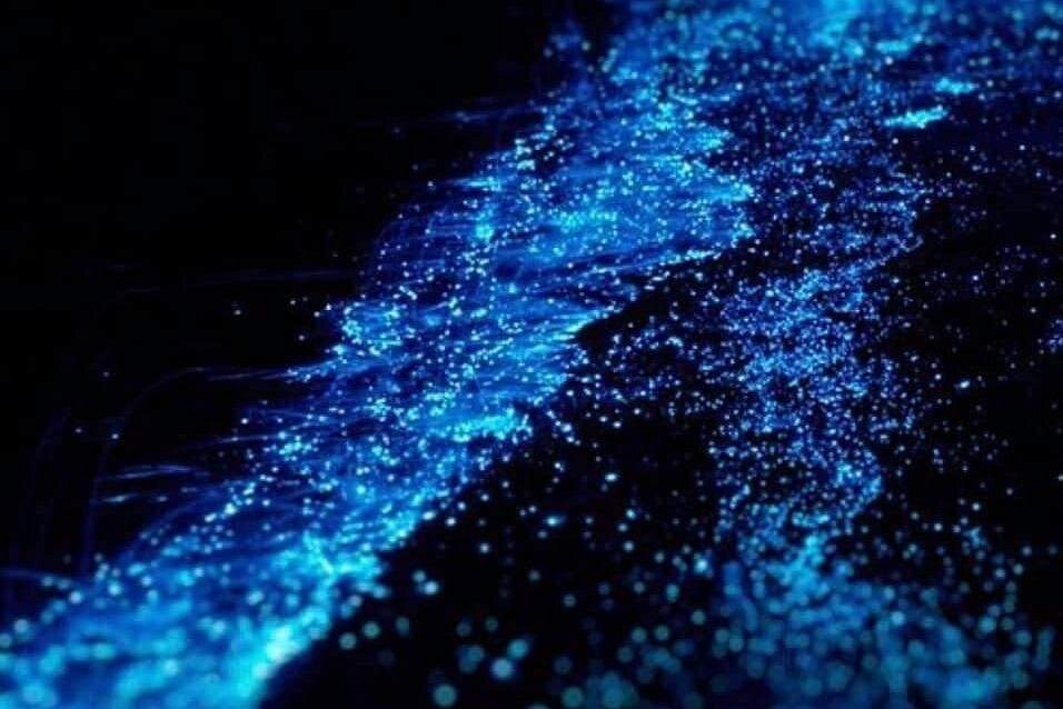 Holbox Island, Mexico
Known for its remote vibe and pristine nature, Holbox offers seasonal glowing water. Bioluminescent Bay Travel Guide