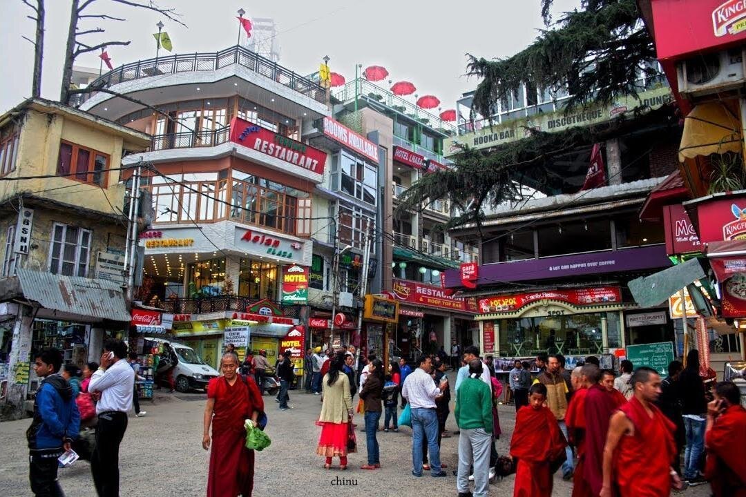 Private Full-Day Dharamshala Customizable Sightseeing Tour 2025 ...