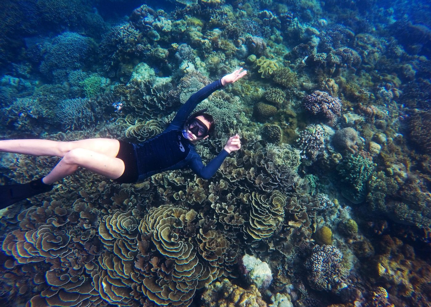 Buccoo Reef dazzles with marine biodiversity