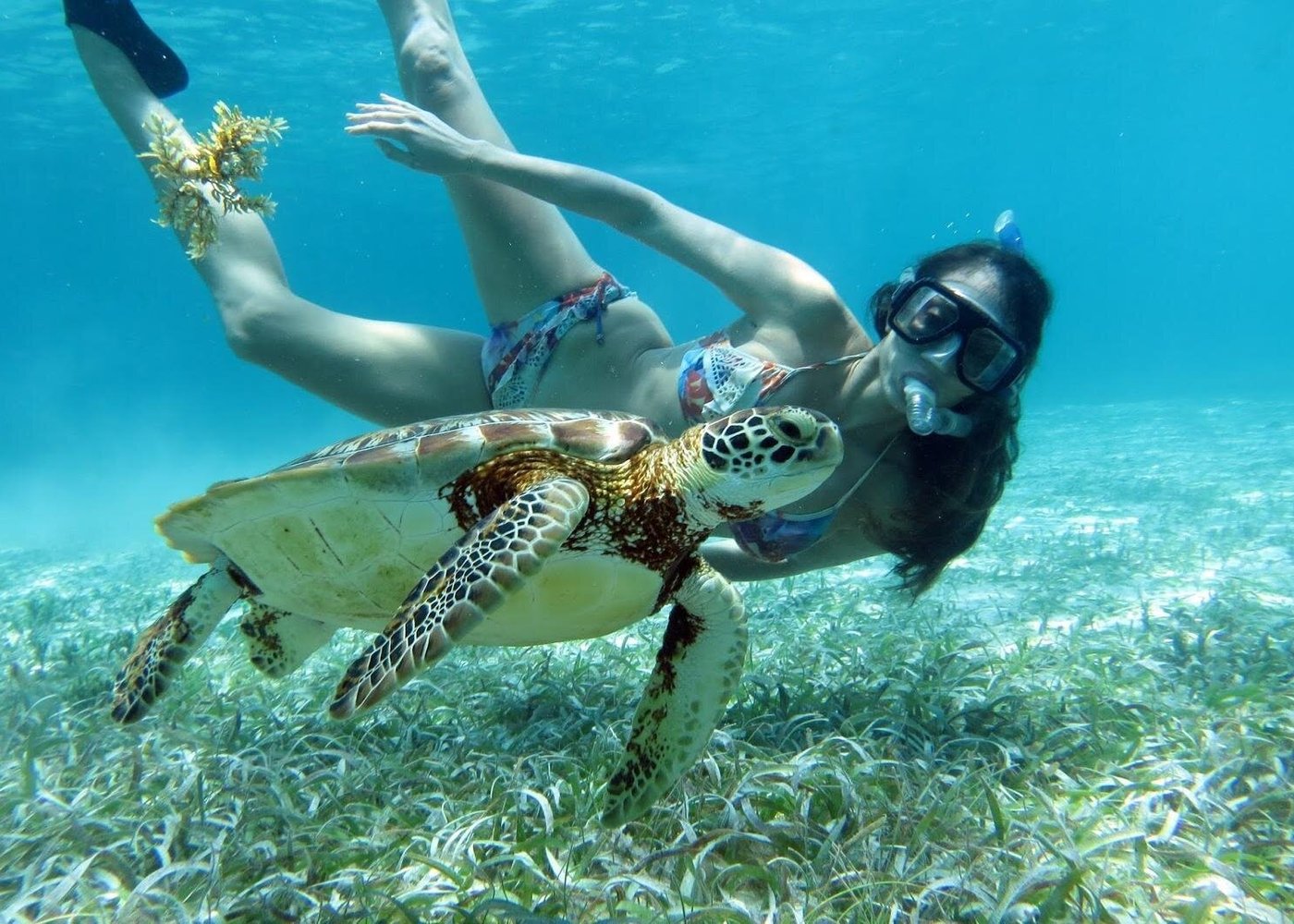 Belize Barrier Reef