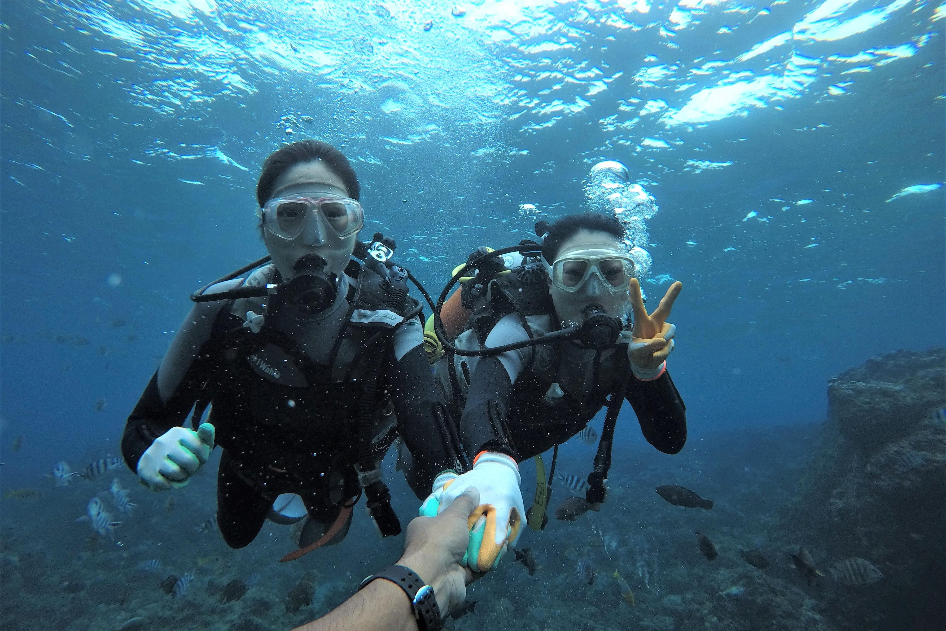 THE TOP 10 Japan Scuba Diving (Prices from $22)
