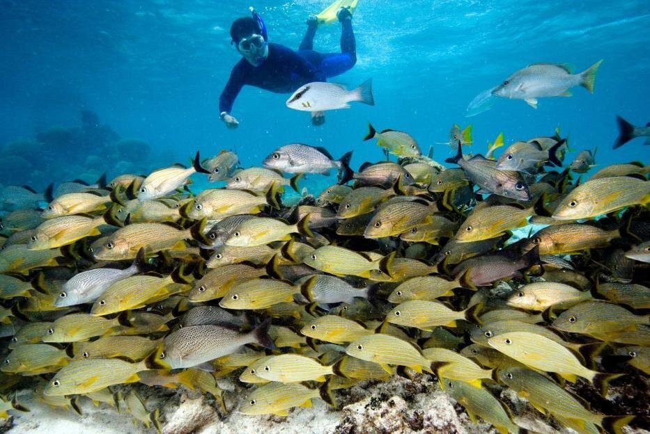 Hol Chan Marine Reserve, Belize travel guide