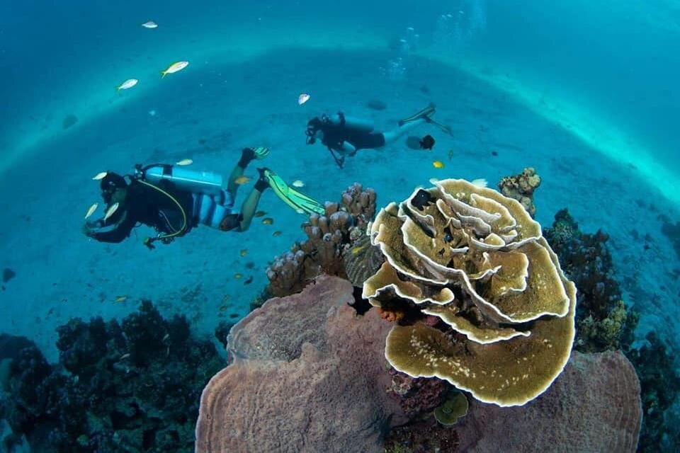 THE TOP Ko Lanta Scuba Diving (Prices from $24)