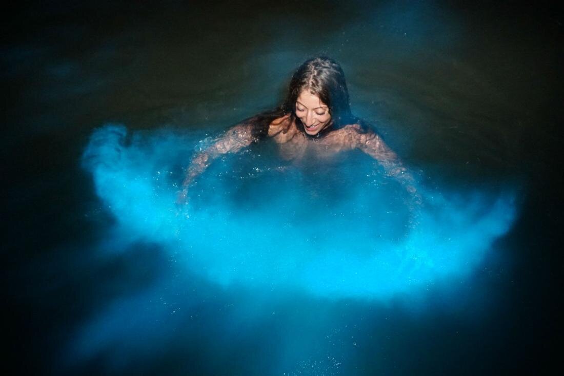 Luminous Lagoon, Falmouth (Jamaica)
Known for its warm, shallow waters, Jamaica’s Luminous Lagoon